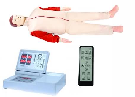SG/CRP490S 高級全自動半身心肺復蘇模擬人（帶遙控器）