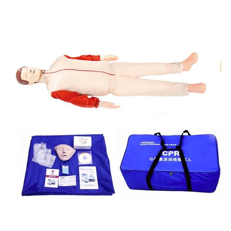 SG/CPR100D 全身心肺復蘇模擬人（不帶控制器）