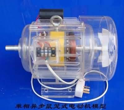 三相異步電動機(jī)模型，透明電機(jī)模型(圖2)