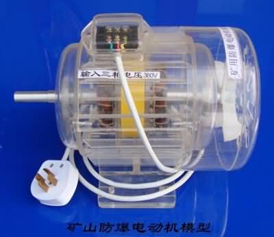 三相異步電動機(jī)模型，透明電機(jī)模型(圖4)