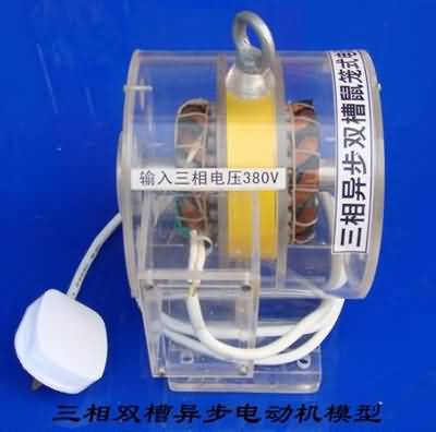 三相異步電動機(jī)模型，透明電機(jī)模型(圖13)