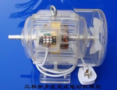 三相異步電動機(jī)模型，透明電機(jī)模型(圖15)