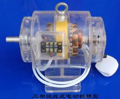 三相異步電動機(jī)模型，透明電機(jī)模型(圖11)
