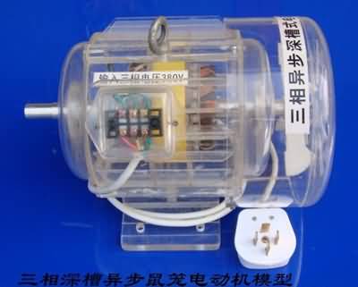三相異步電動機(jī)模型，透明電機(jī)模型(圖12)